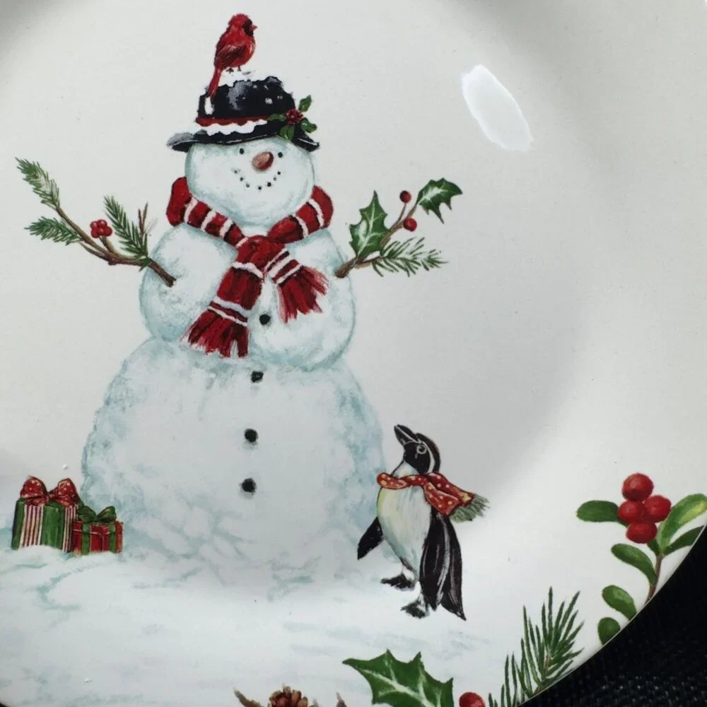 PIER 1 Winter Wonders Ironstone Plate Dish Set 4 Snowman Penguin Christmas 9inch